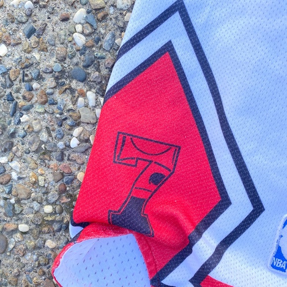 🐃🐃 Vintage Chicago Bulls basketball shorts champion - Picture 3 of 7